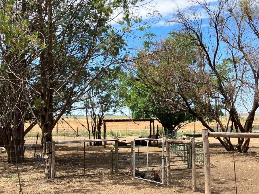 3 Bedroom Property for Sale in Bloemfontein Rural Free State
